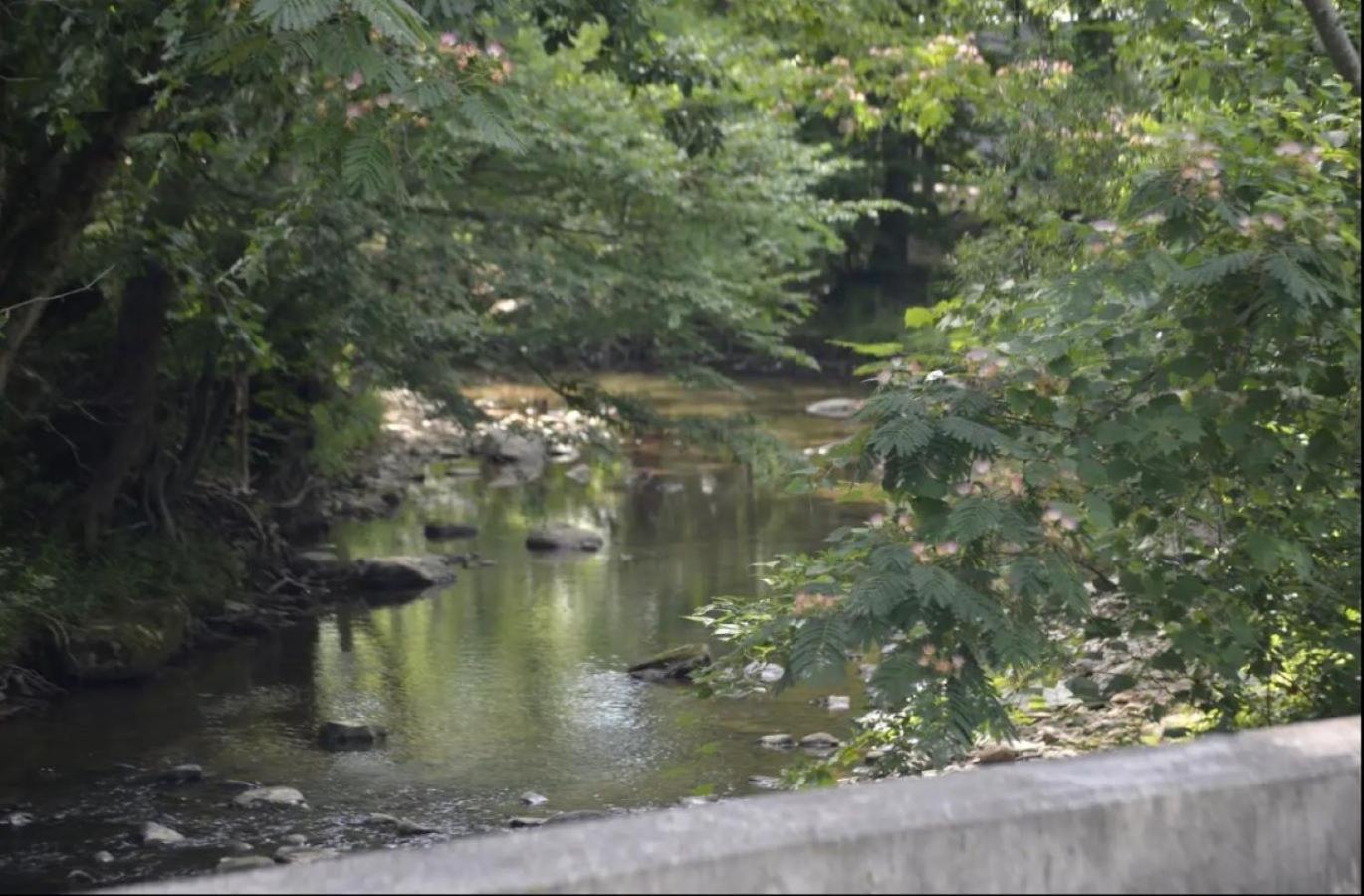 Creekside Cottage*Hot Tub*Entire Home-Pigeon Forge Exterior foto